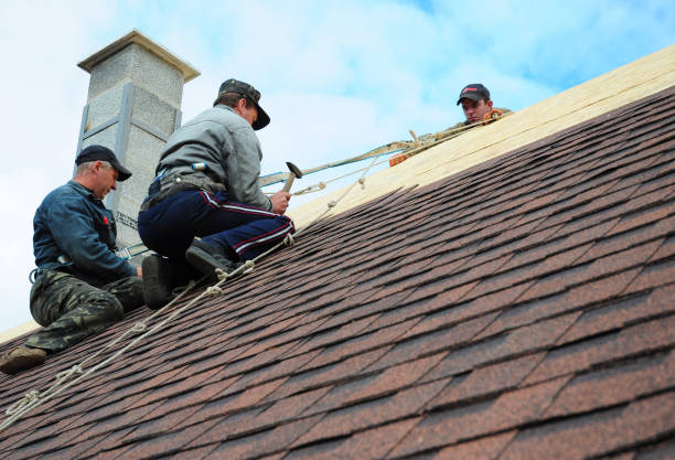 Quick and Trustworthy Emergency Roof Repair Services in Shingletown, CA